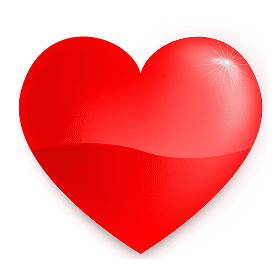 Donation heart icon